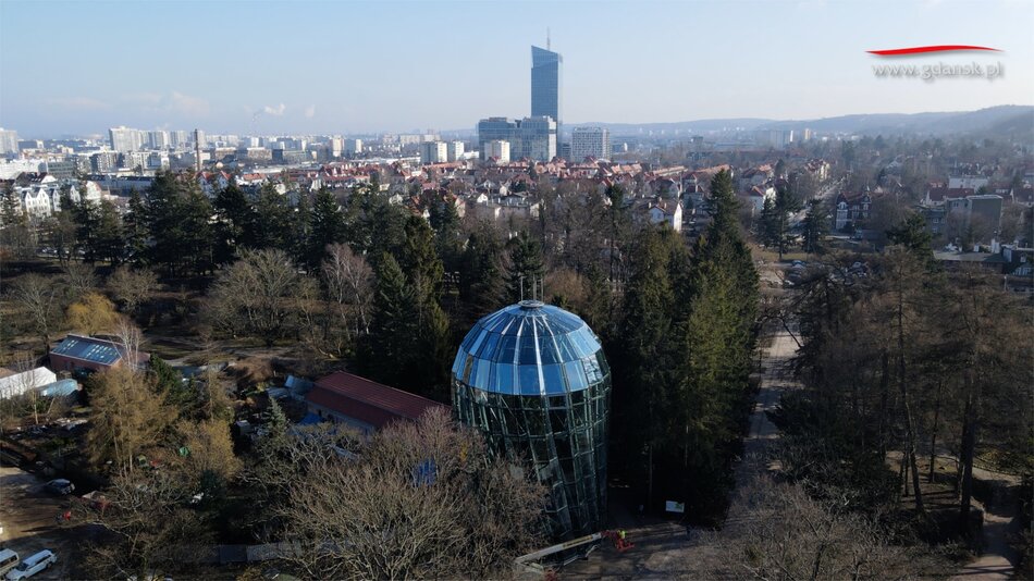 Prace przy palmiarni i raport o kondycji jej roślin